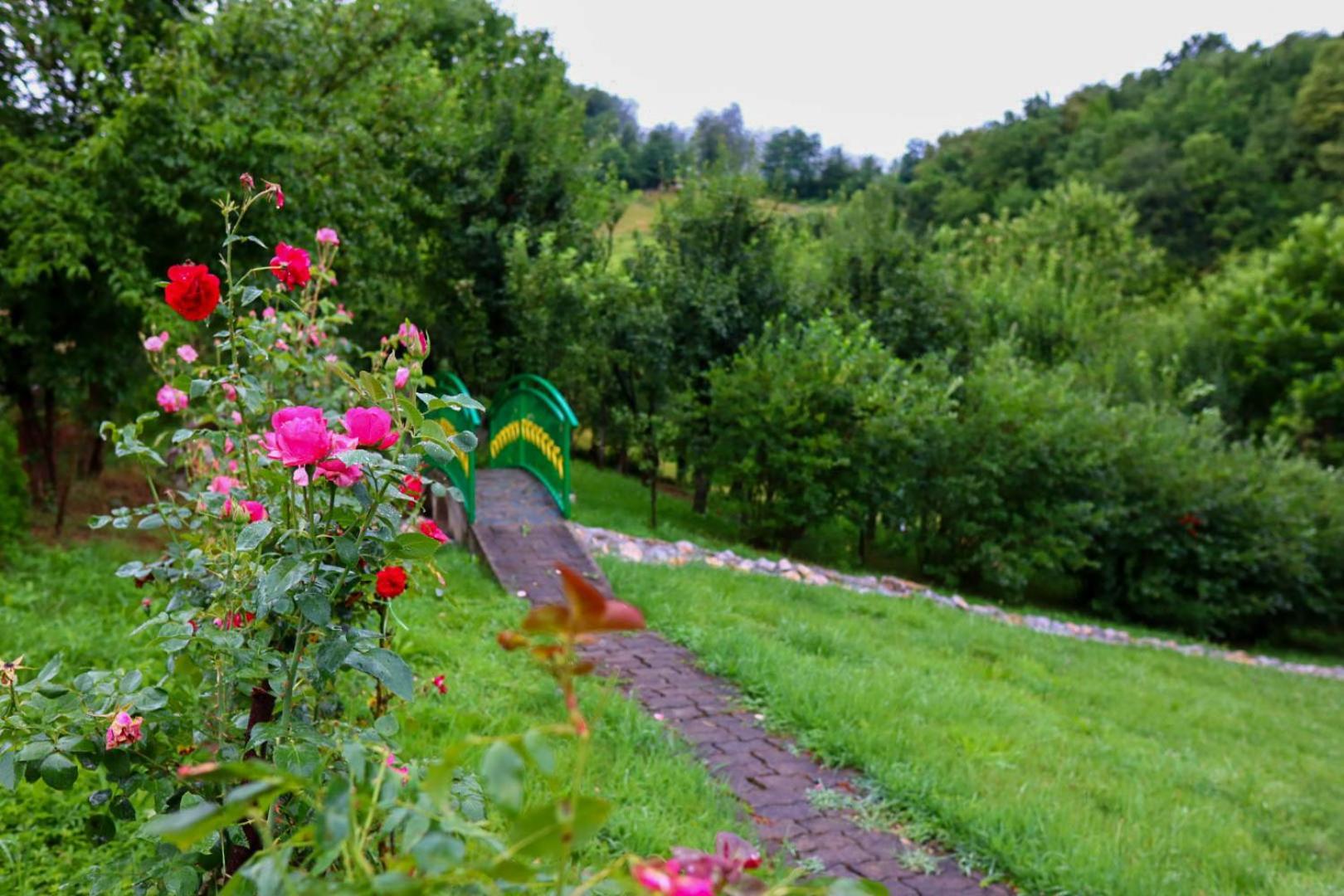 Holiday Home Pharaoh Visoko Extérieur photo