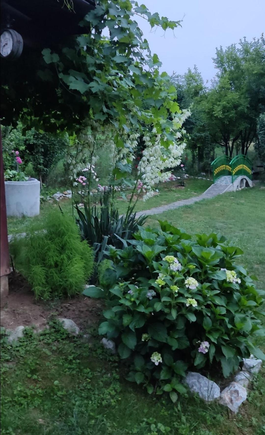 Holiday Home Pharaoh Visoko Extérieur photo